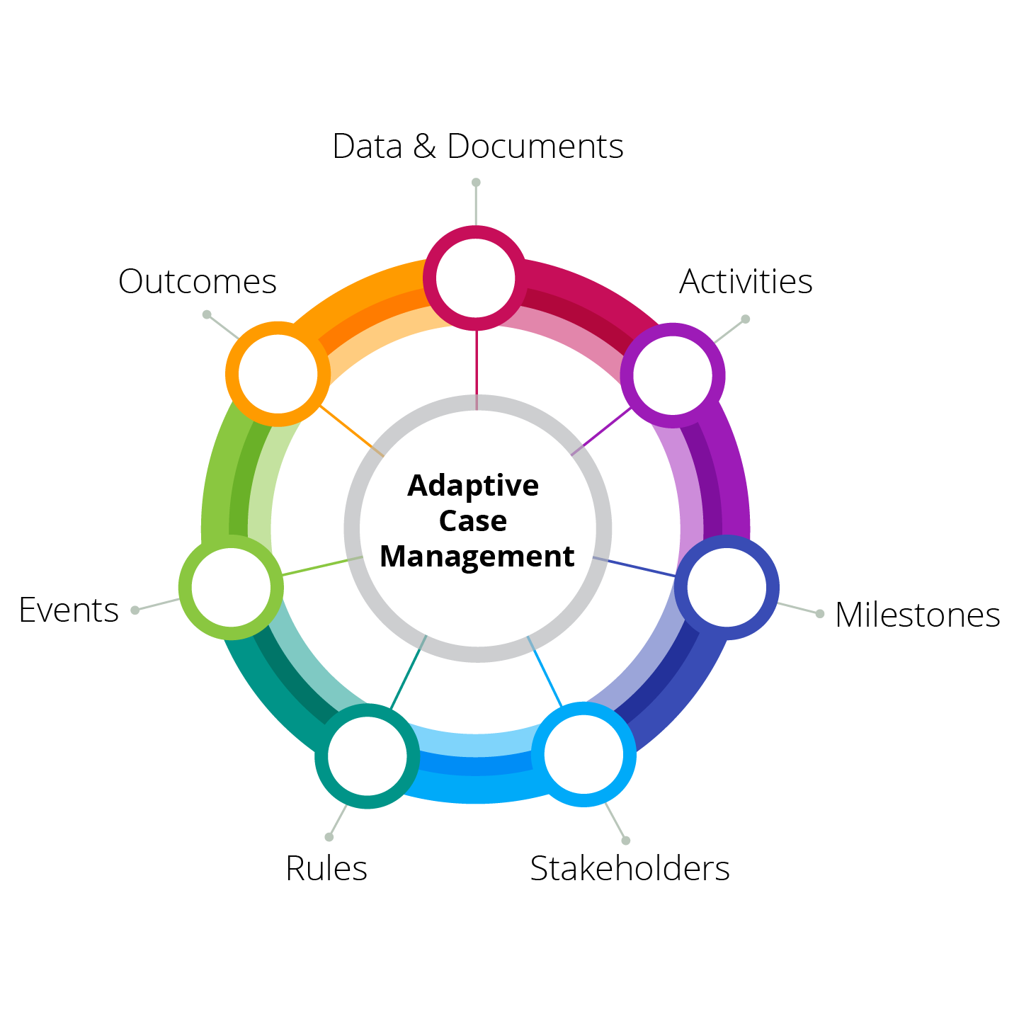 Adaptive Case Management MITS INDIA